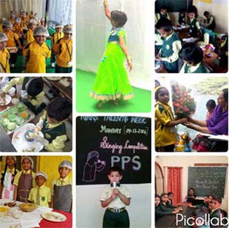 co-curricular Activities